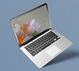 Laptop home screen