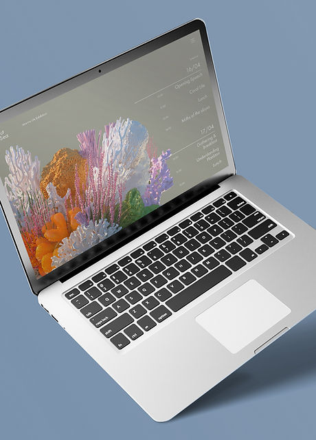 Laptop home screen