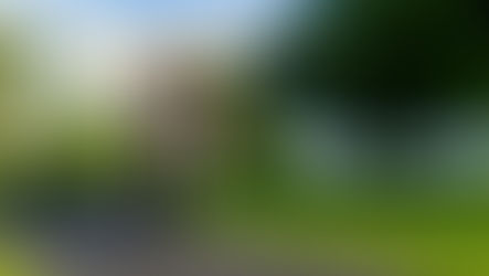 Why Morning Workouts are Ideal