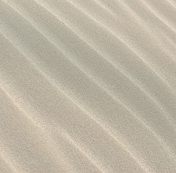 Beach Sand