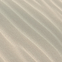 Sand Texture Closeup