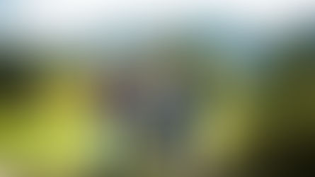 Překroč stín a miluj svoje rodiče