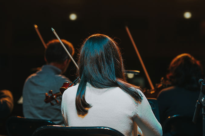 Orchestra musicians