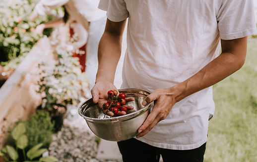 Private chef in Cyprus using fresh local ingredients for meal prep