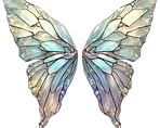Elegant Butterfly Wings