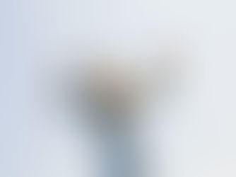 Siła dośrodkowa w zabawie