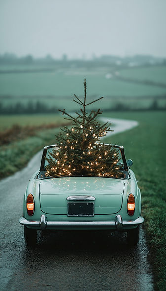 Car with Christmas tree