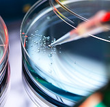 Petri Dish Experiment