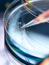Physics Lab Equipments (Part II)