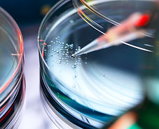 Petri Dish