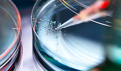 Natural killer cell-based immunotherapy is taking the oncology world by storm. Who are the industry leaders?