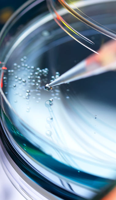 Petri Dish