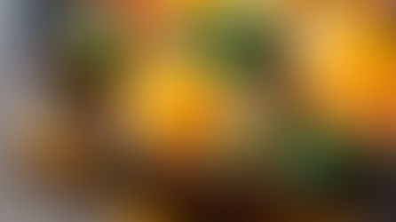 Chef-Level Meals Under $5: 10 Global Egg Recipes That Taste Like Fine Dining