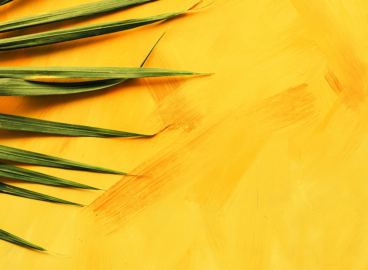Yellow Wall
