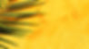 Yellow Wall