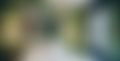 image de miroir dans une chambre aux murs verts . Le linge de lit est de couleur blanche, le lit est situé près de la fenêtre et le miroir est situé à la tête du lit pour illustrer comment agrandir l'espace
