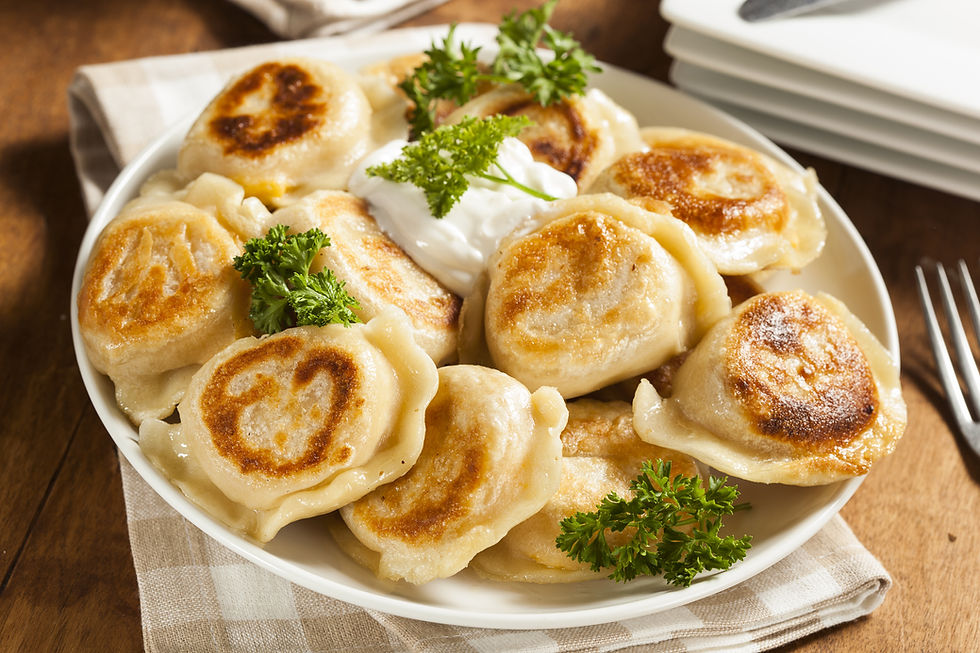 Fried meat dumplings