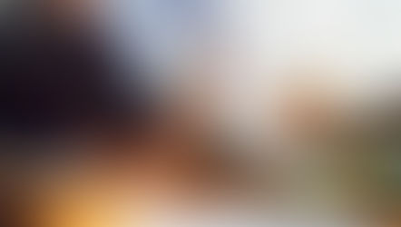 結局どの士業に相談すればいいの?