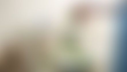 The Best Herbal Infusions for Each Season