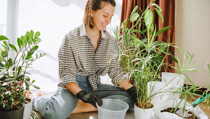 kits-de-cultivo-casero