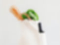 Grocery Bag