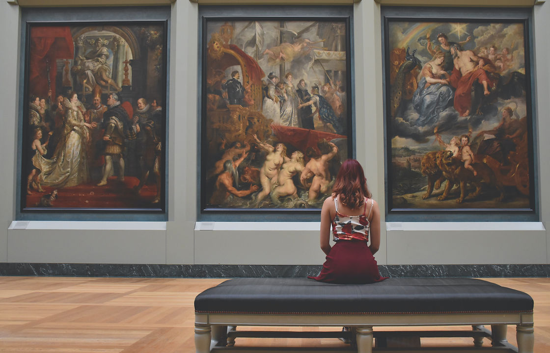 Visitatore di un museo
