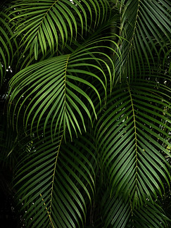 Green Plants