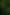 Green Plants