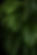 Green Plants