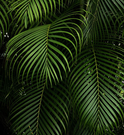 Green Plants