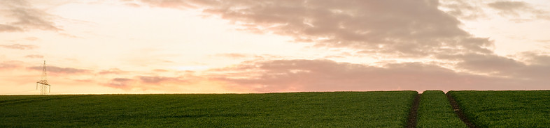 Green Field