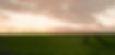 Green Field