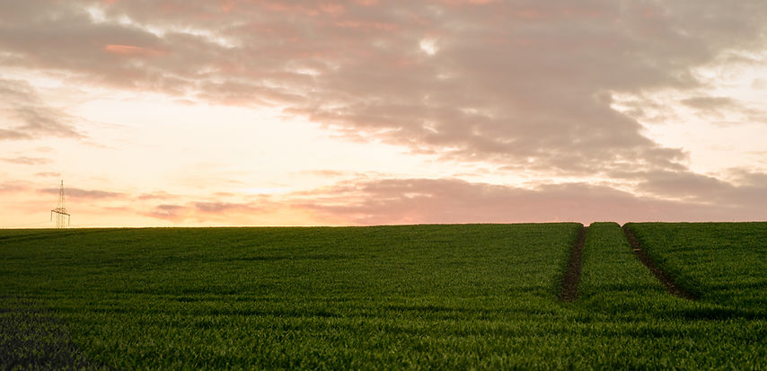 Green Field