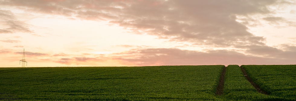 Countryside Sunset Field