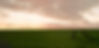 Green Field