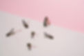 Hair Pins