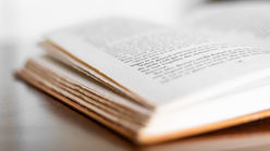 World Book Day 2026: Meet the Abu Dhabi authors turning personal stories into powerful reads