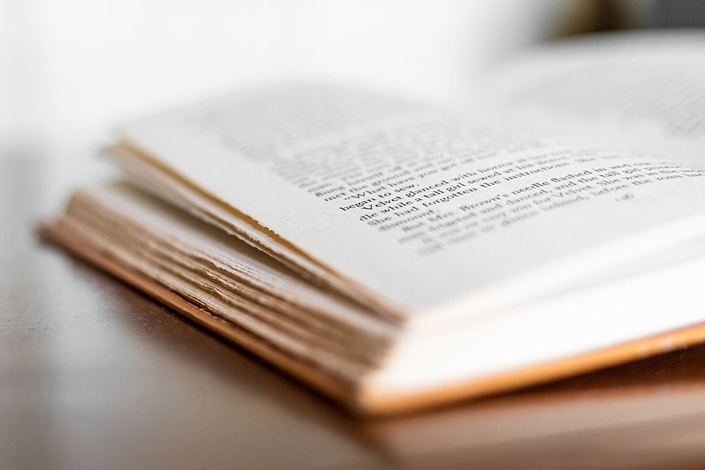Páginas do livro