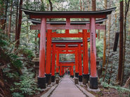 Japanese shrine torii gate