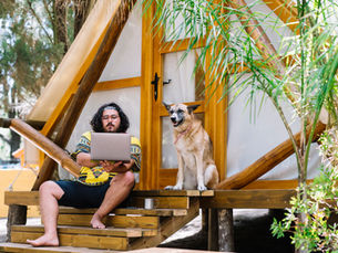 Becoming a Digital Nomad with a Pet: How to Make the Transition Smooth