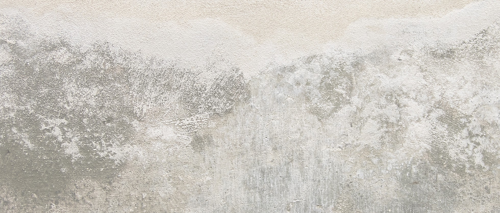 Textured Wall Abstract
