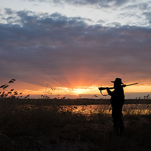 Hunter with Shotgun