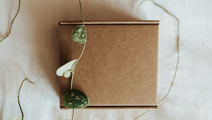 Klim uit jou boks en groei