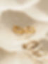 Gold Hoop Earrings in Sand