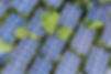 Solar Panels on Trees