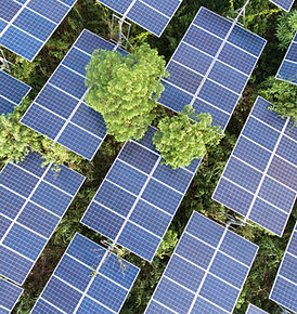 National Grid, Eversource, and Mass Save