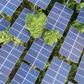 Shouxian PV Plant