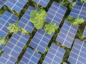 Sustainable Luxury: Green Tech Innovations