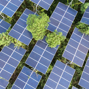 Solar System Price with Subsidy in Delhi  2025