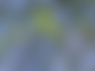 Books I read on Futures Studies-1